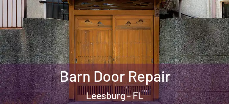 Barn Door Repair Leesburg - FL