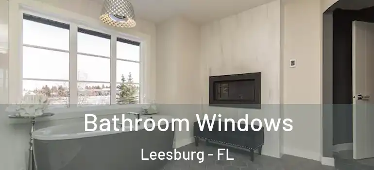 Bathroom Windows Leesburg - FL