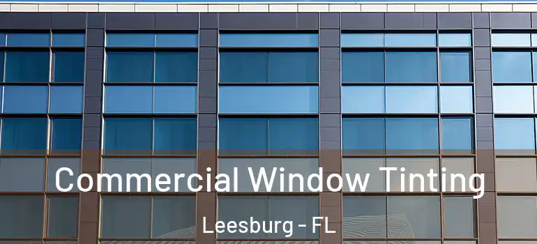 Commercial Window Tinting Leesburg - FL