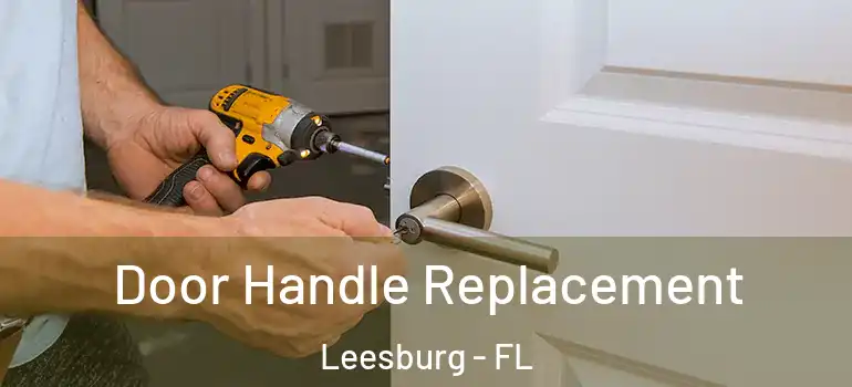 Door Handle Replacement Leesburg - FL