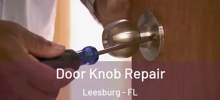 Door Knob Repair Leesburg - FL