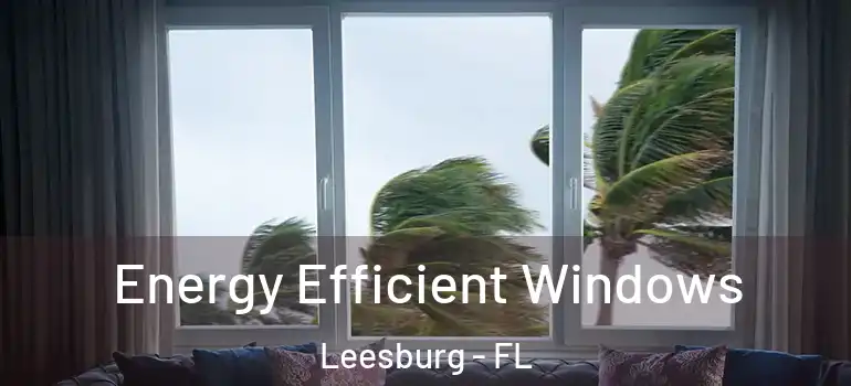  Energy Efficient Windows Leesburg - FL