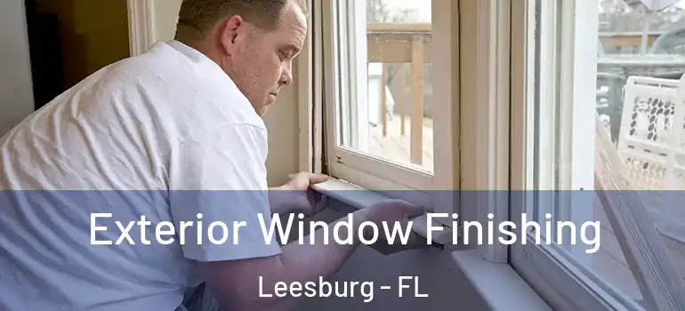 Exterior Window Finishing Leesburg - FL
