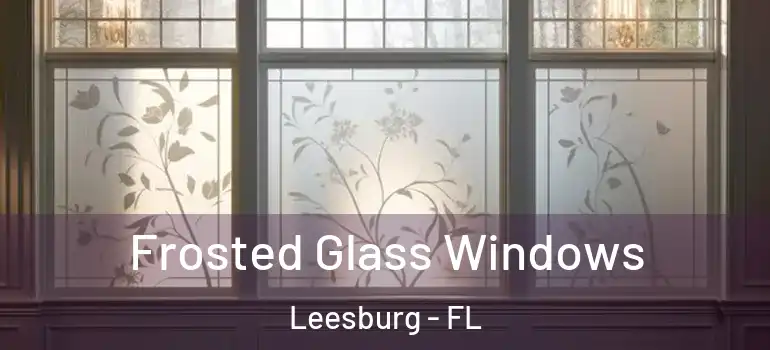 Frosted Glass Windows Leesburg - FL