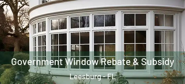 Government Window Rebate & Subsidy Leesburg - FL