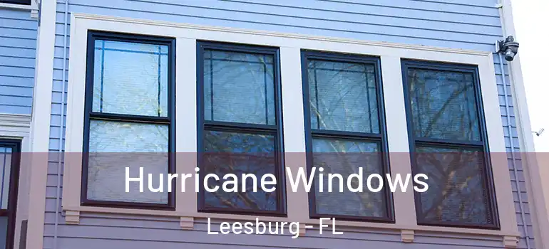 Hurricane Windows Leesburg - FL