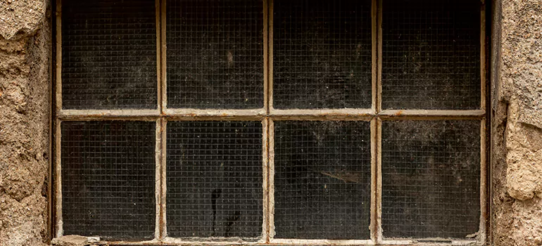 Traditional Double Front Doors in Leesburg, FL