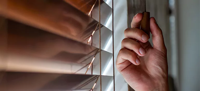 Double Roller Blinds in Leesburg, FL