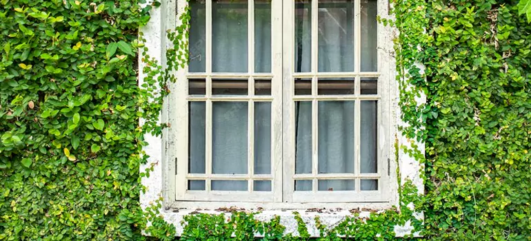 Garden Window Repair Near Me in Leesburg, FL