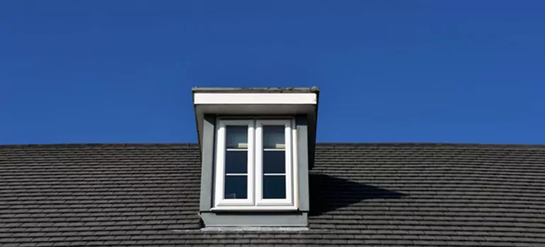 Roof Window Installation in Leesburg, FL