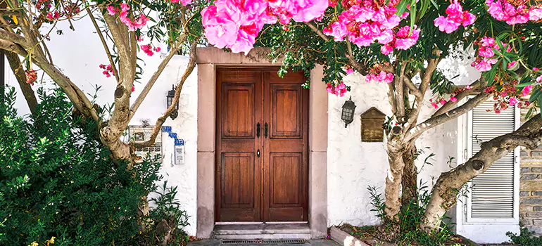 Traditional 4 Panel Internal Doors in Leesburg, FL