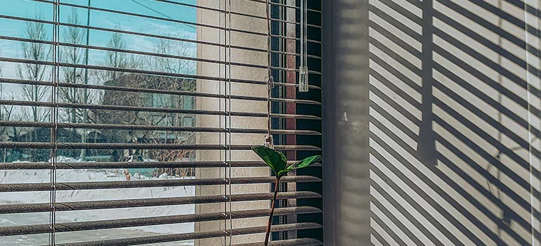 Commercial Window Blinds in Leesburg, FL