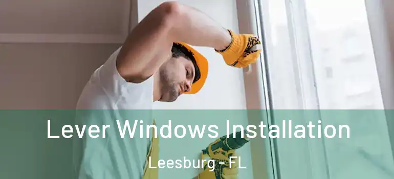 Lever Windows Installation Leesburg - FL