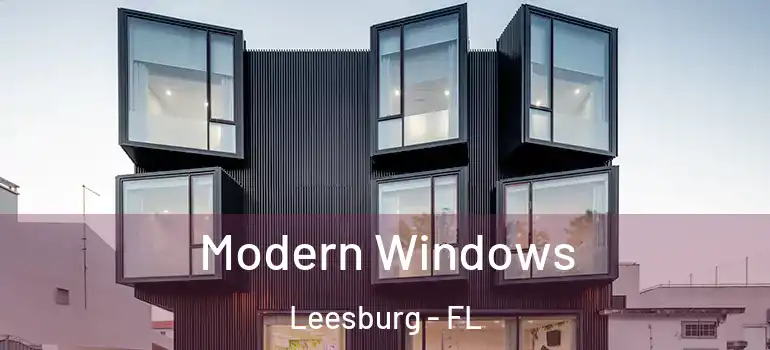 Modern Windows Leesburg - FL