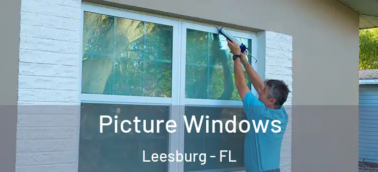 Picture Windows Leesburg - FL