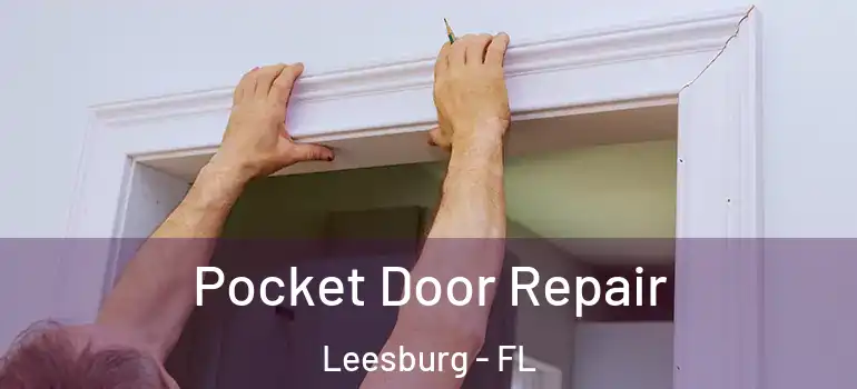 Pocket Door Repair Leesburg - FL