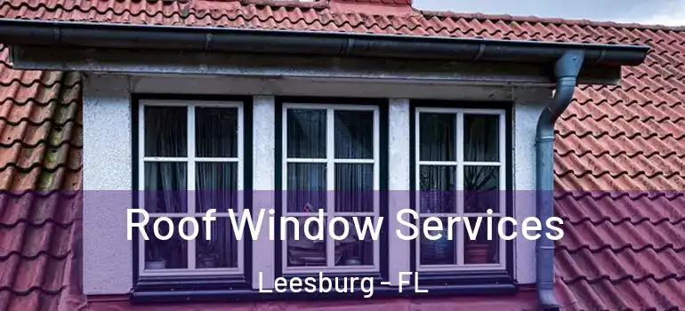 Roof Window Services Leesburg - FL