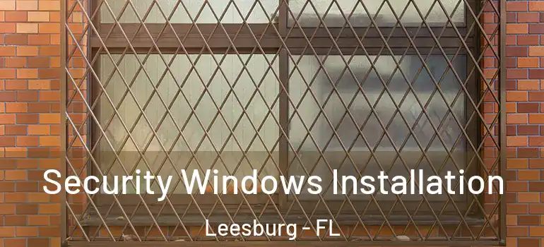 Security Windows Installation Leesburg - FL