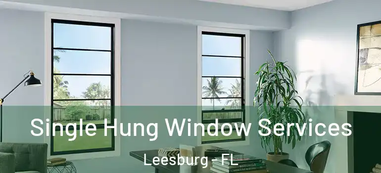 Single Hung Window Services Leesburg - FL