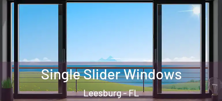 Single Slider Windows Leesburg - FL