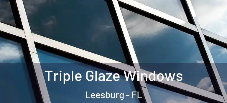 Triple Glaze Windows Leesburg - FL