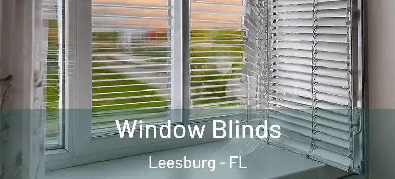 Window Blinds Leesburg - FL