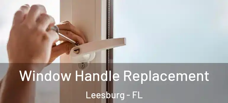 Window Handle Replacement Leesburg - FL