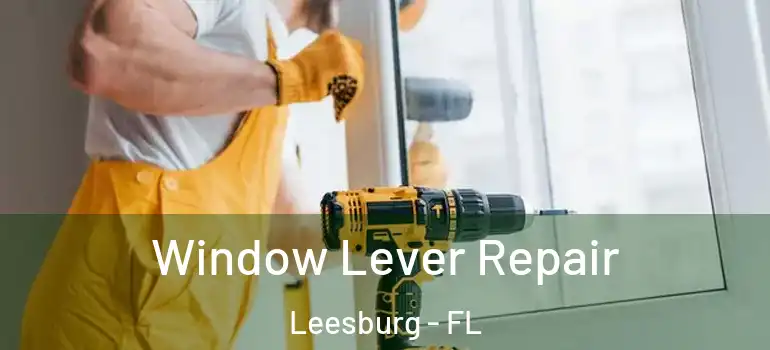 Window Lever Repair Leesburg - FL