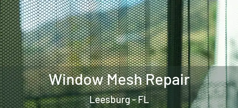 Window Mesh Repair Leesburg - FL
