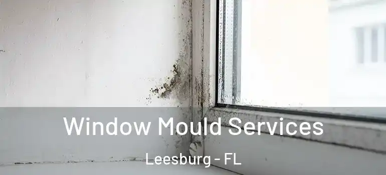 Window Mould Services Leesburg - FL