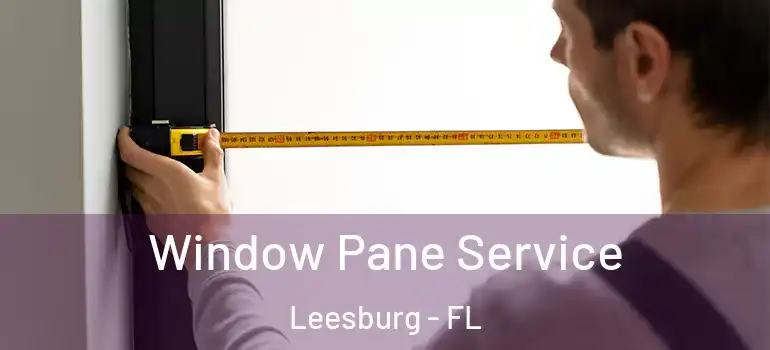  Window Pane Service Leesburg - FL