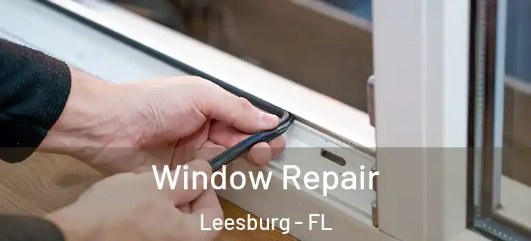 Window Repair Leesburg - FL