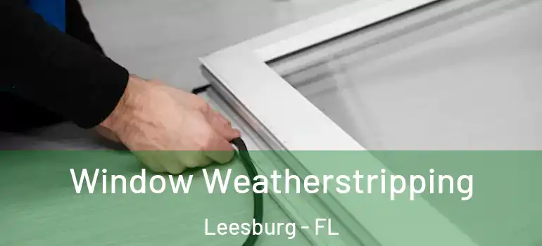 Window Weatherstripping Leesburg - FL